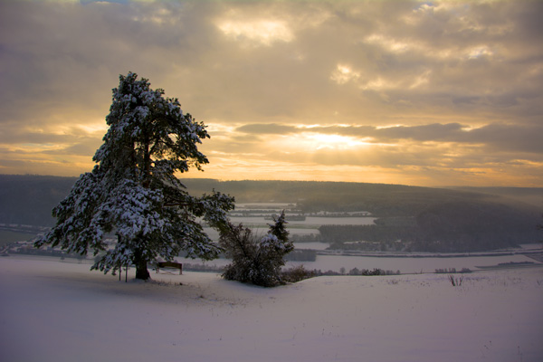 Low Winter Sun