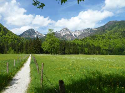 Longing For The Mountaintop