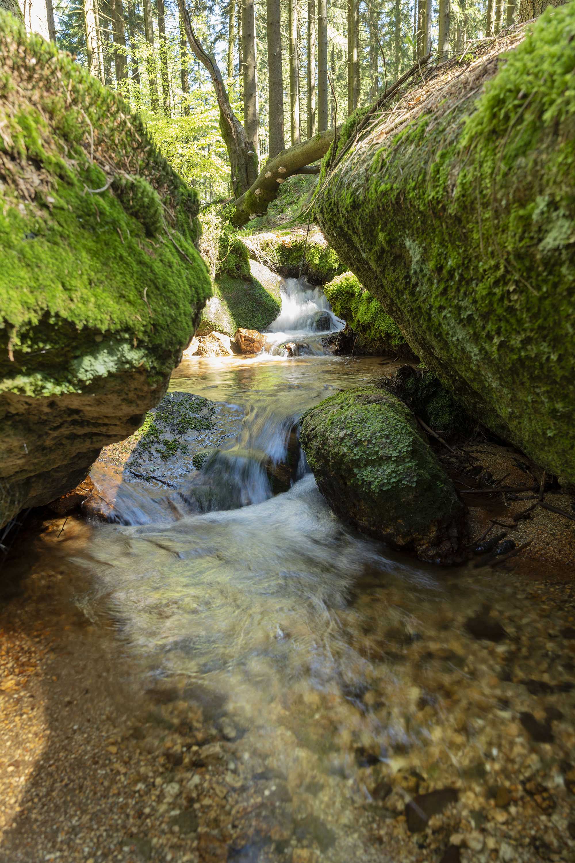 The Small Stream