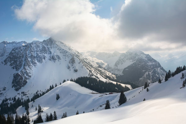 Snowy Peaks