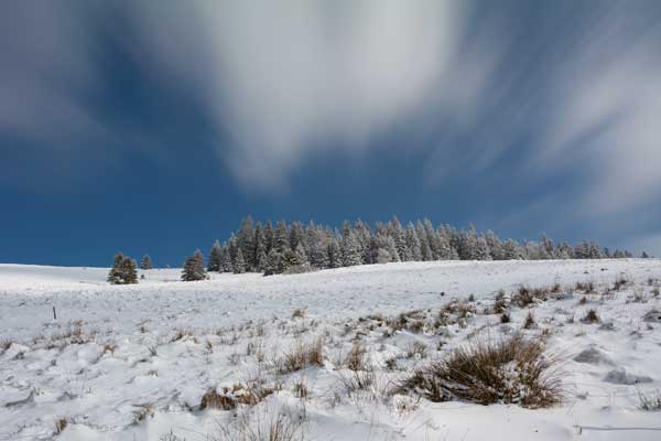 Snow Idyll