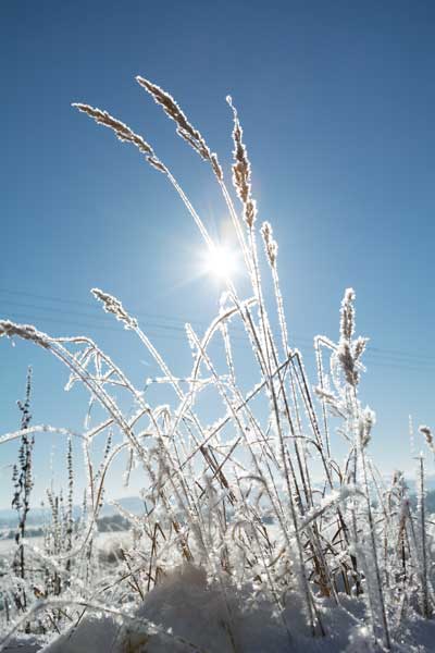 The Sun's Rays On The Frozen Landscape